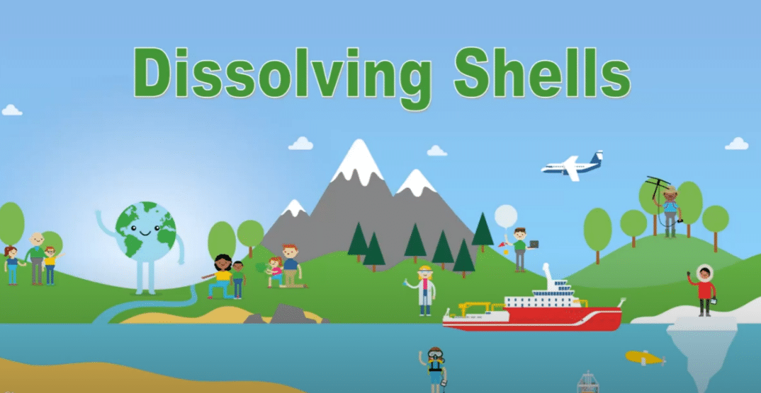 Dissolving Shells Operation Earth